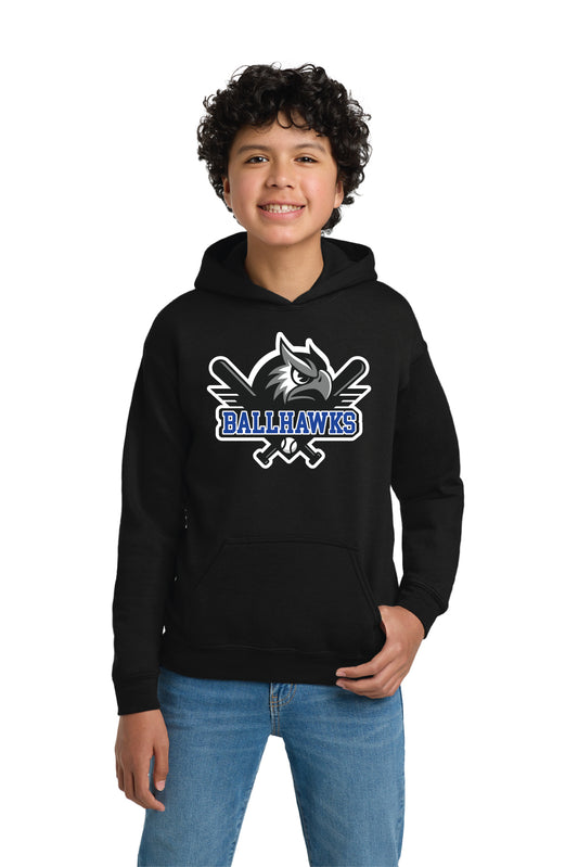 Ballhawks Baseball  Youth Gildan® - Heavy Blend™ Hooded Sweatshirt